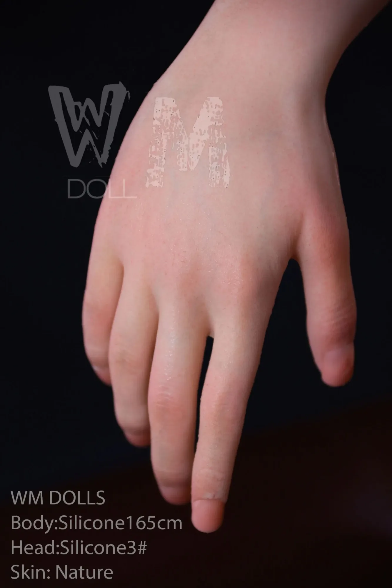 WM | Wendi  5ft 5/ 165cm Full Silicone Sex Doll view 5